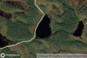 Hirnakkalammit