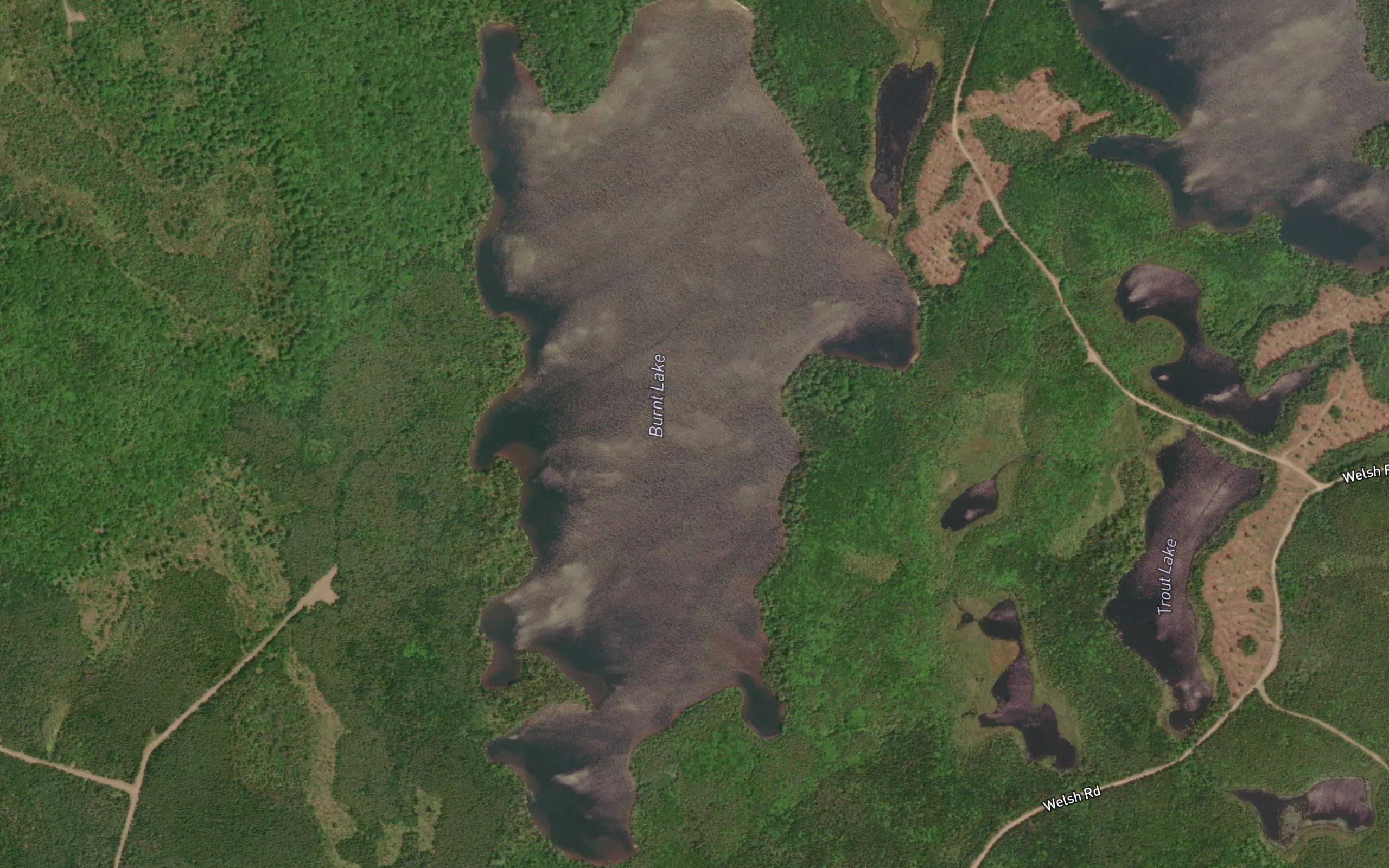 Burnt Lake