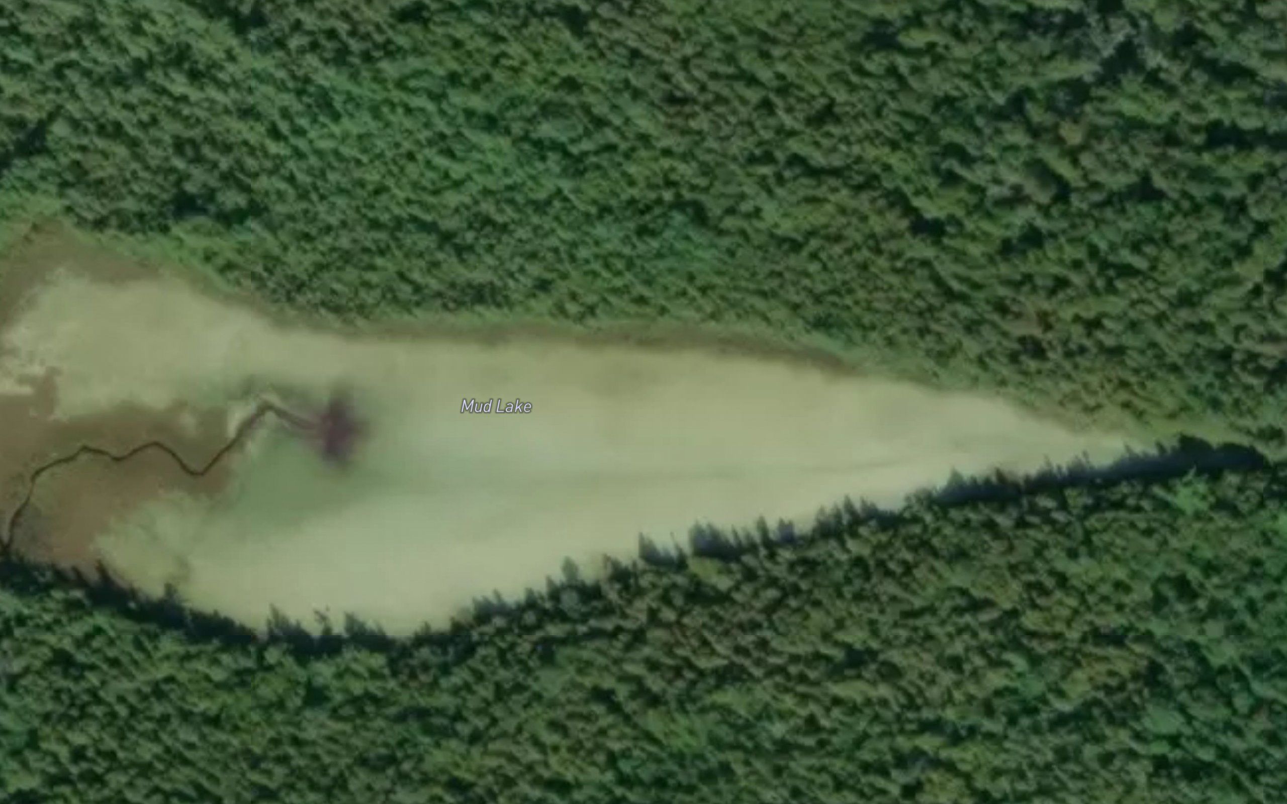 Mud Lake