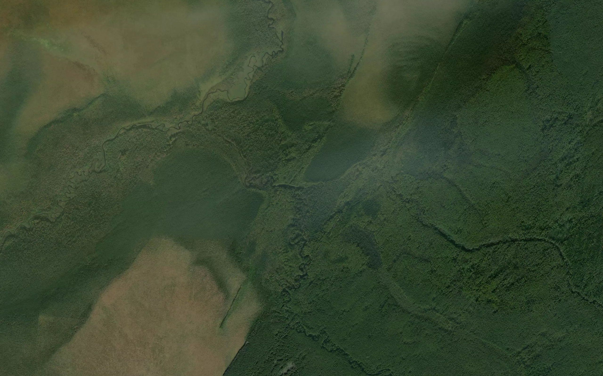 Borovka