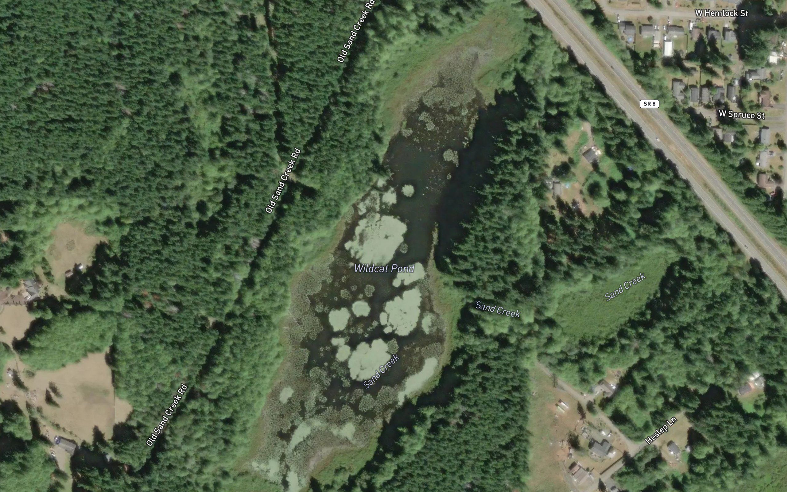 Wildcat Pond