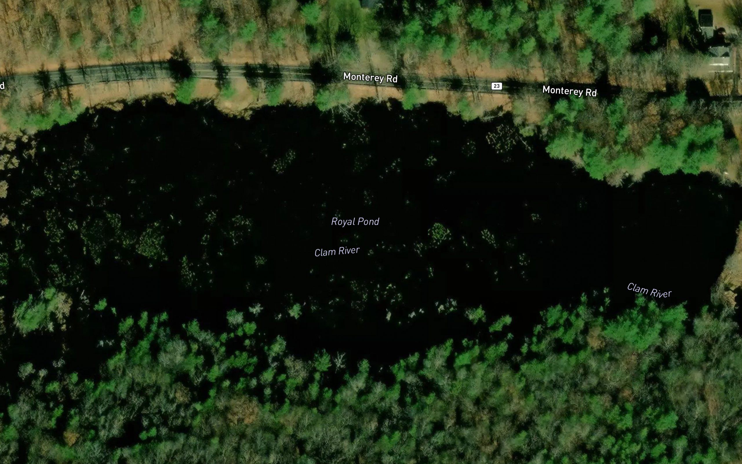 Royal Pond