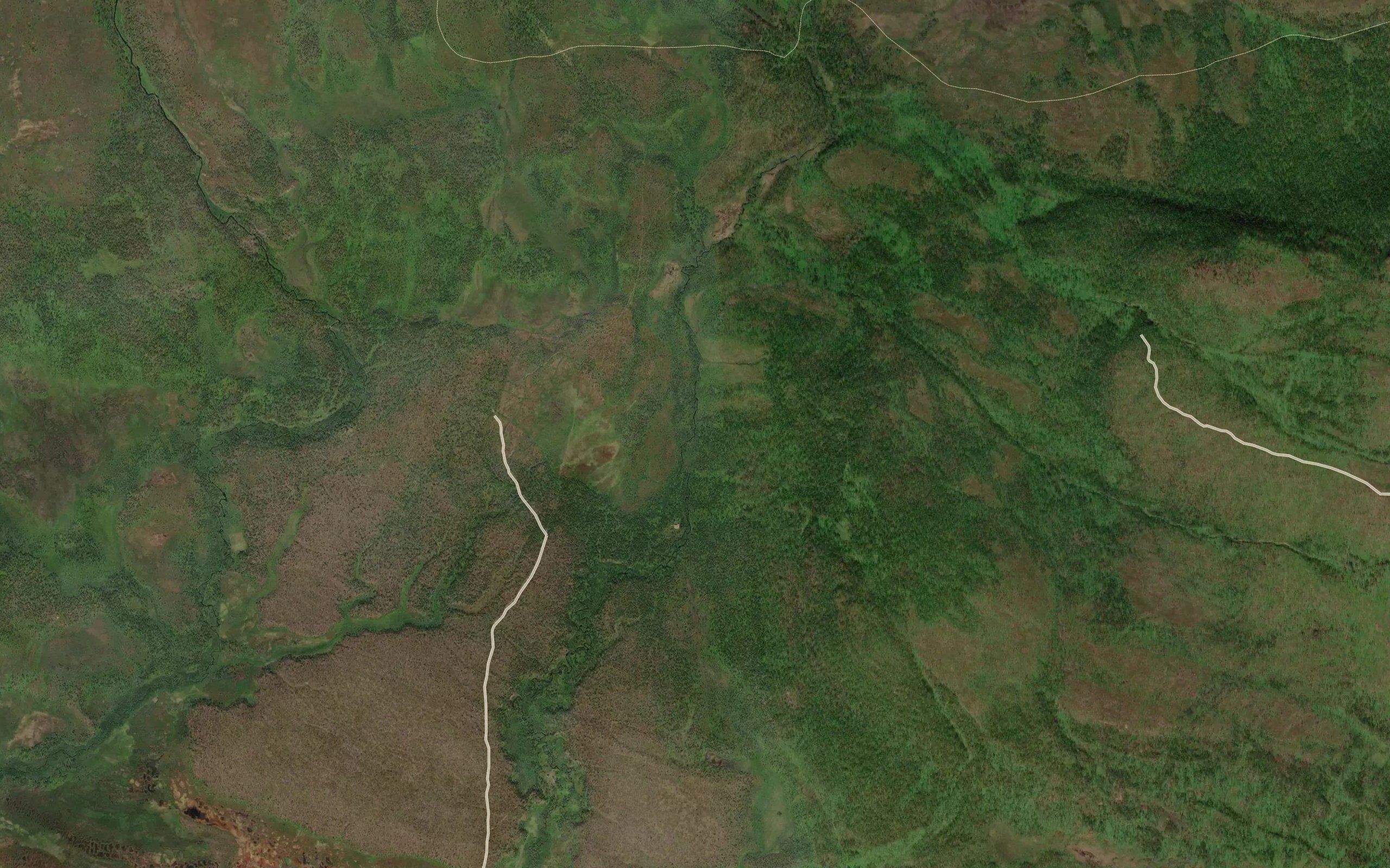 Klubbvikelva