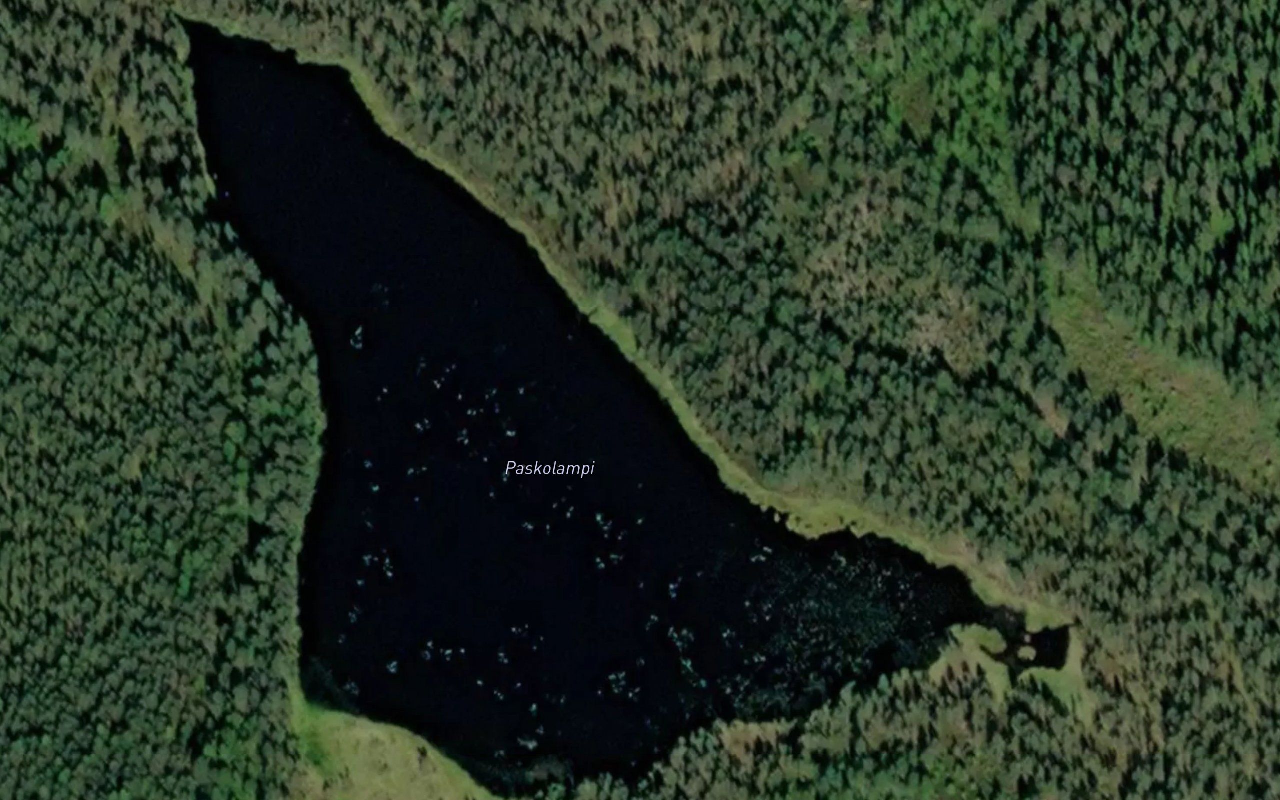 Paskolampi