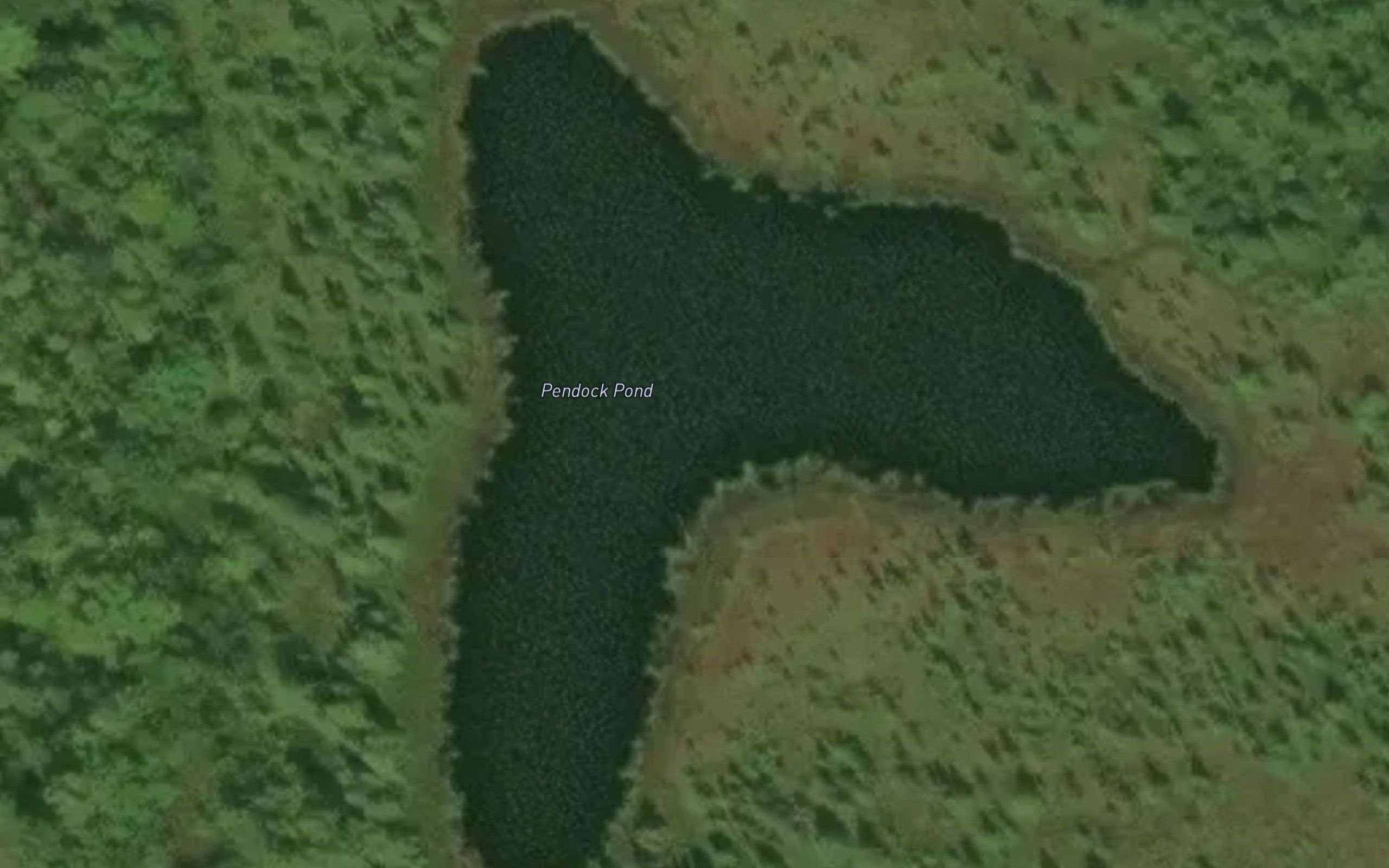 Pendock Pond