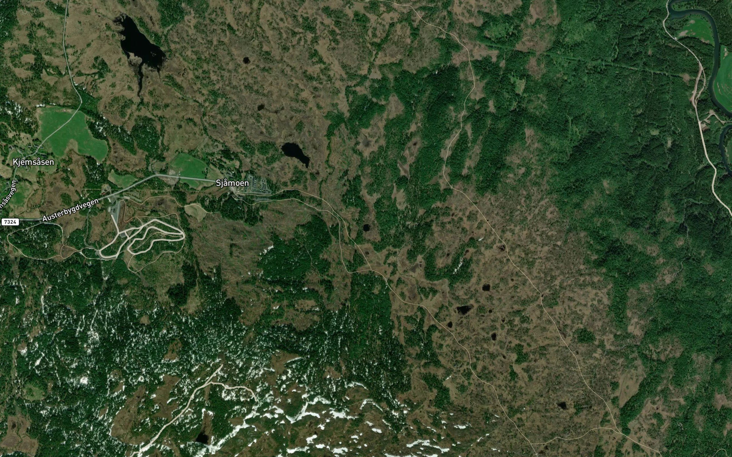 Skurvastjonna