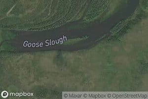 Goose Slough
