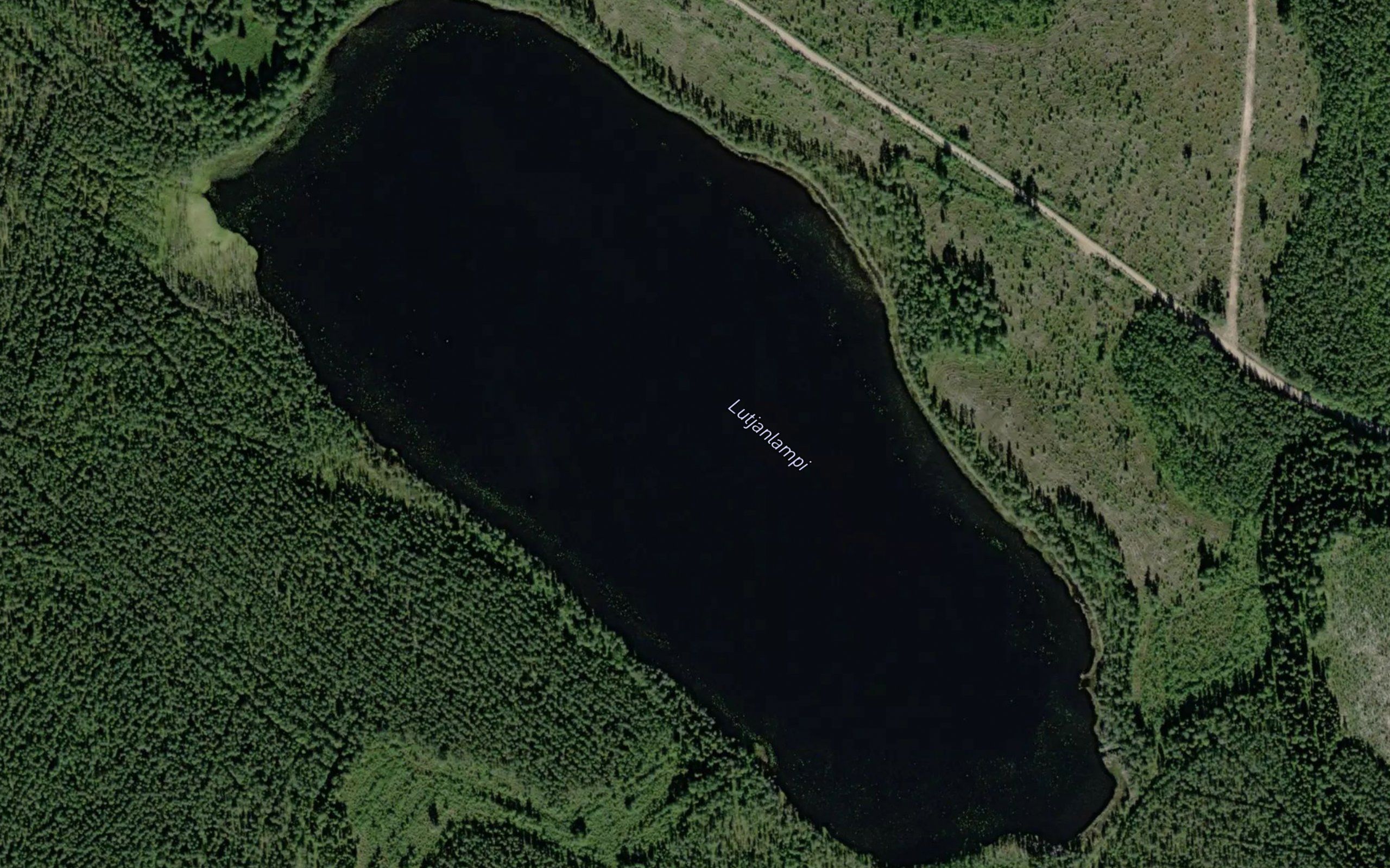 Lutjanlampi