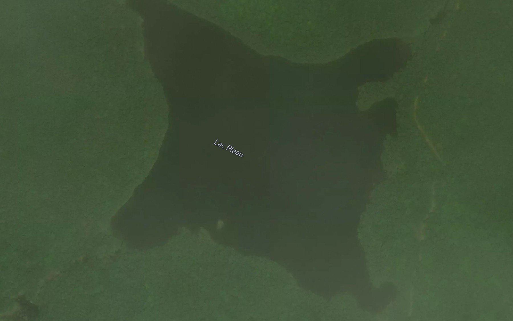 Satellite map of the Lac Pleau