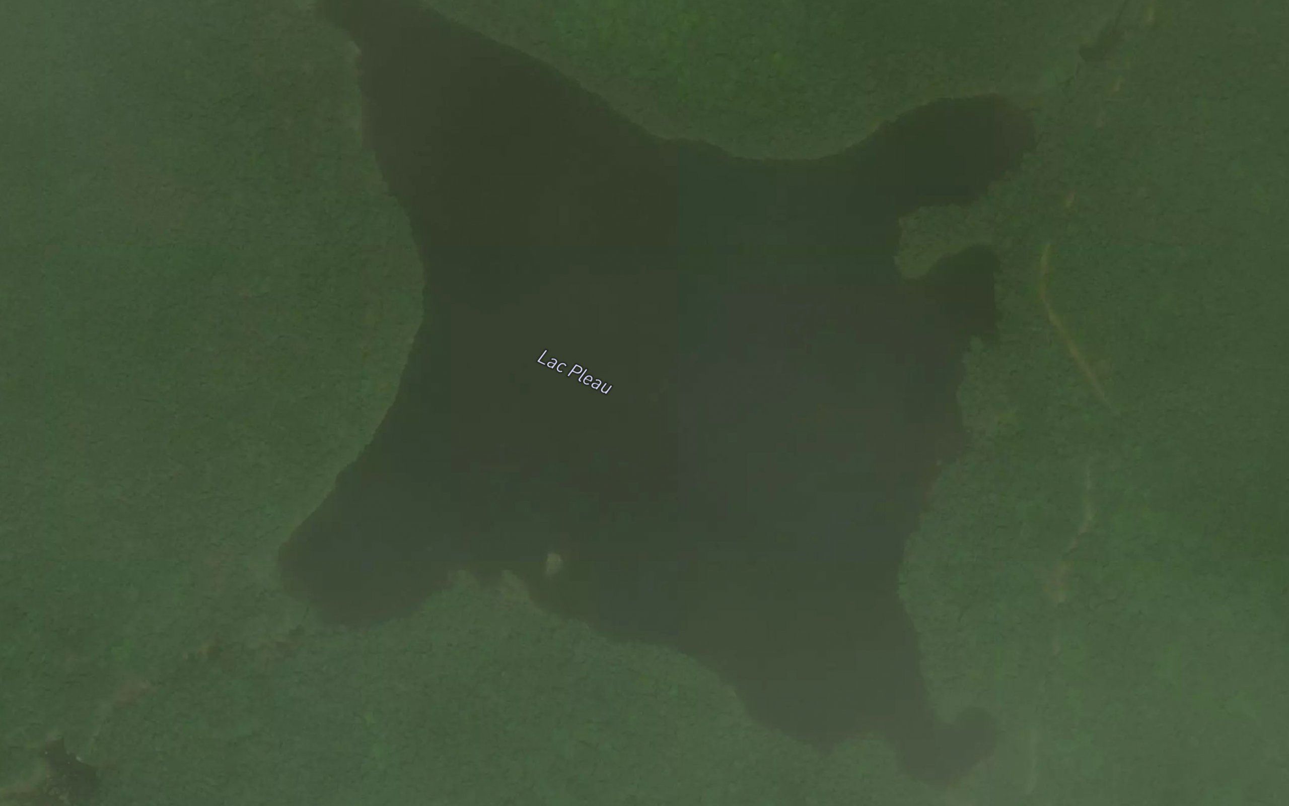 Lac Pleau