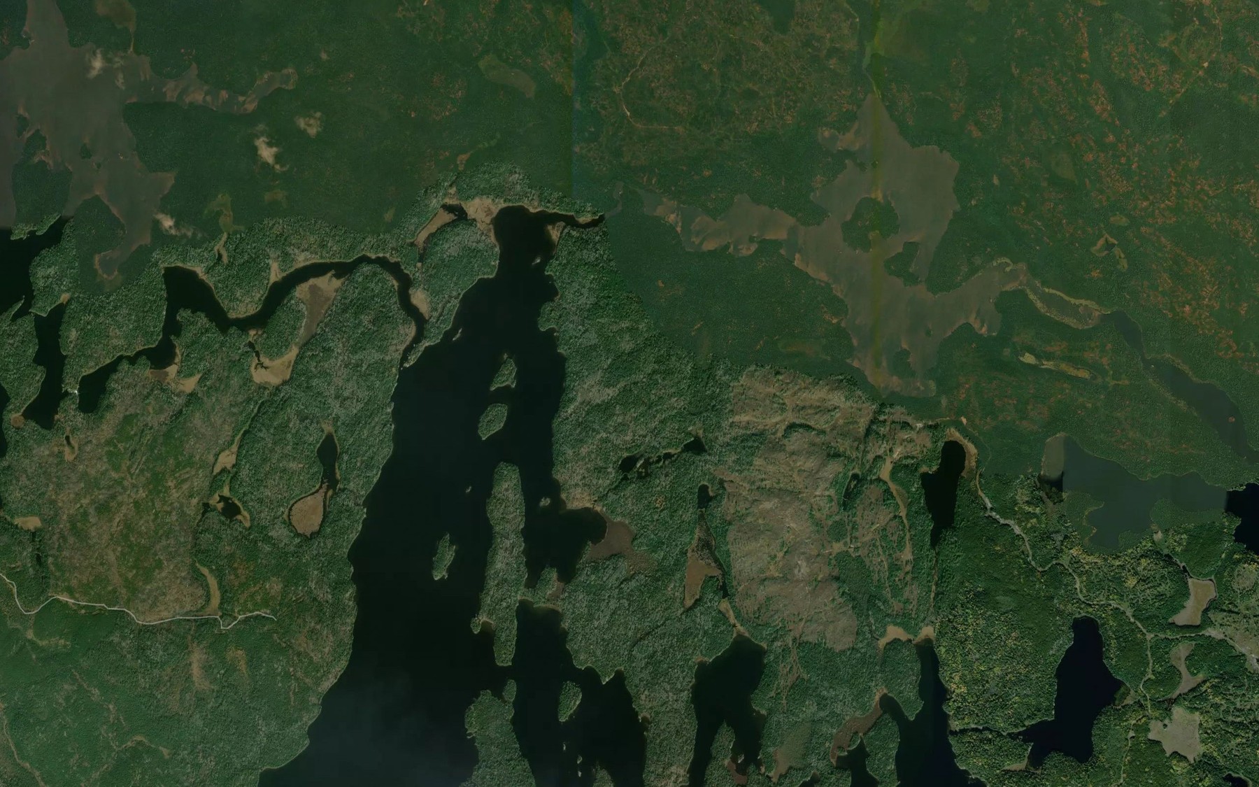 Satellite map of the Entwine River