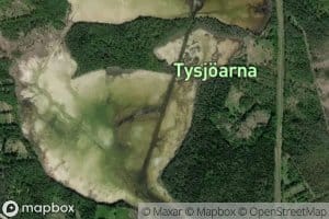 Tyssjoarna