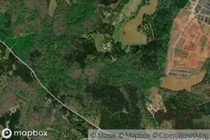Whitlow Creek