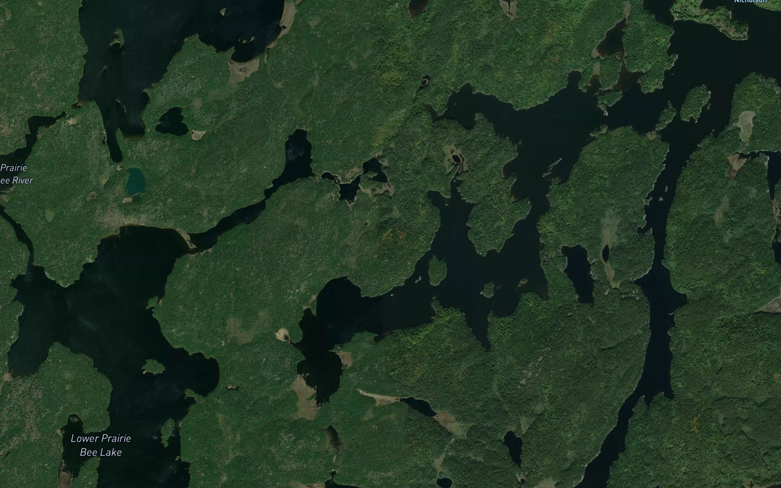 Nicholson Bay
