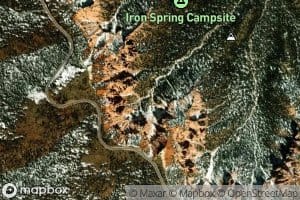 Birch Spring