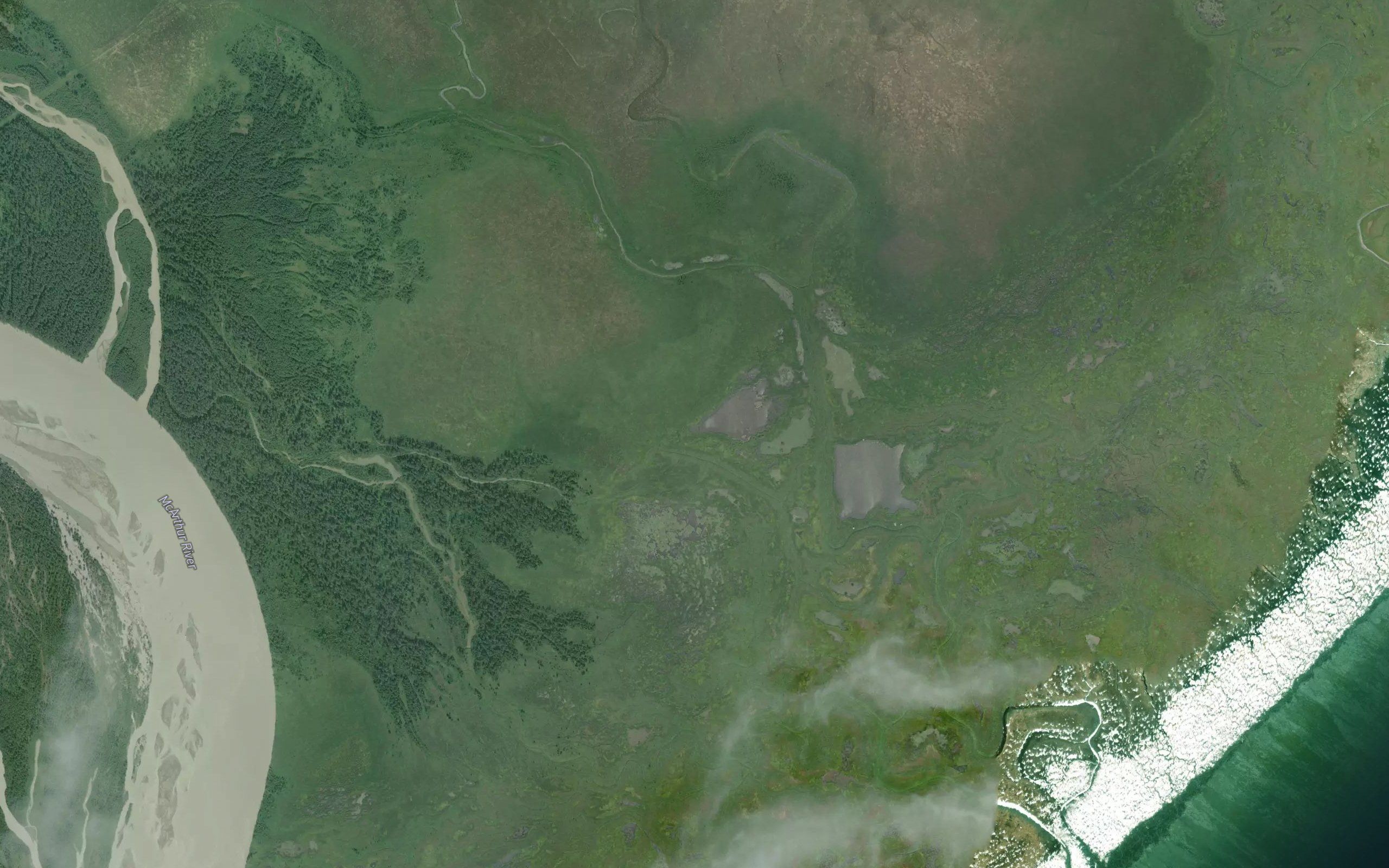 Seal Slough