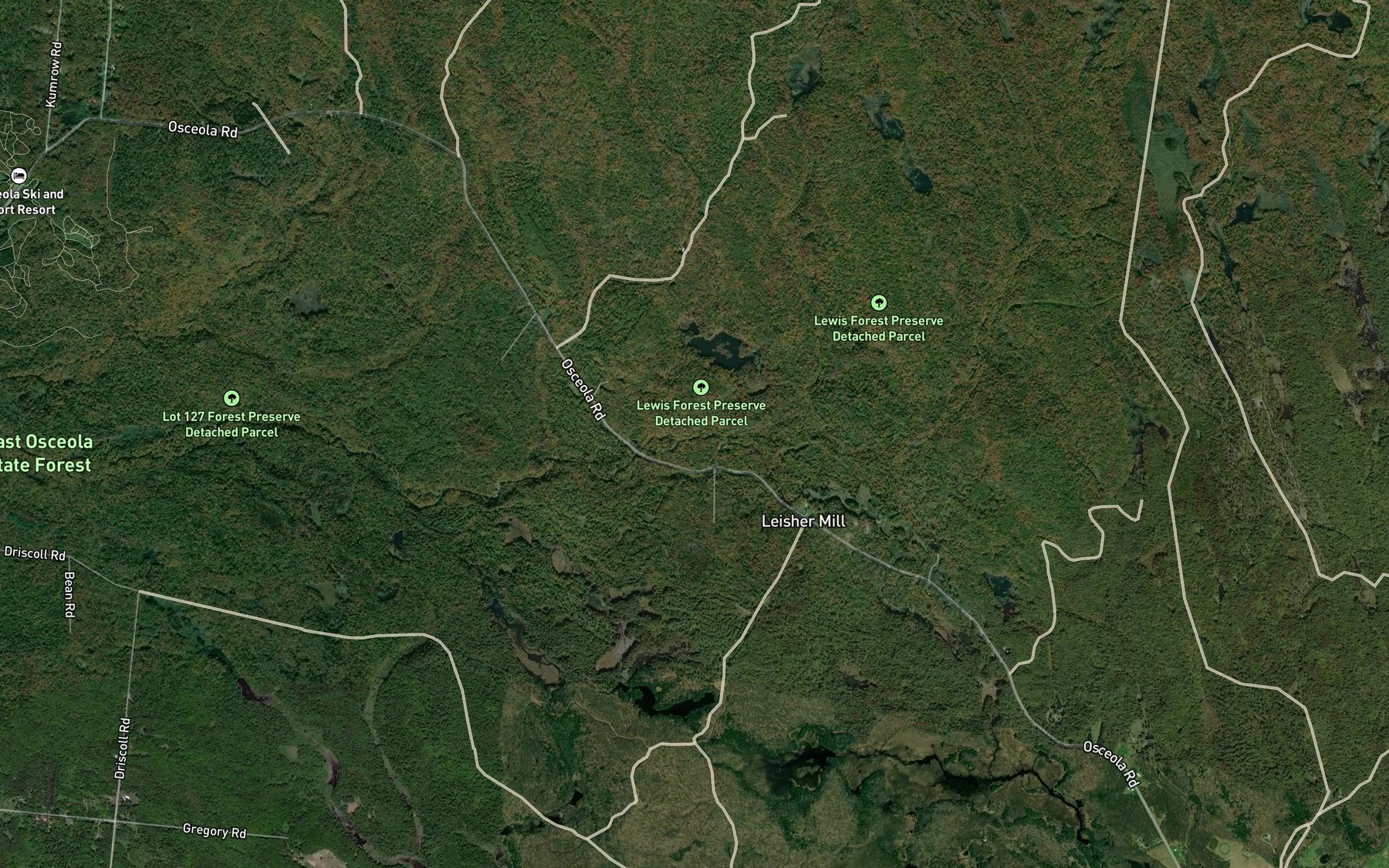 Satellite map of the East Fork Salmon River