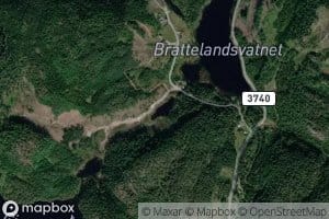 Hulltjonn