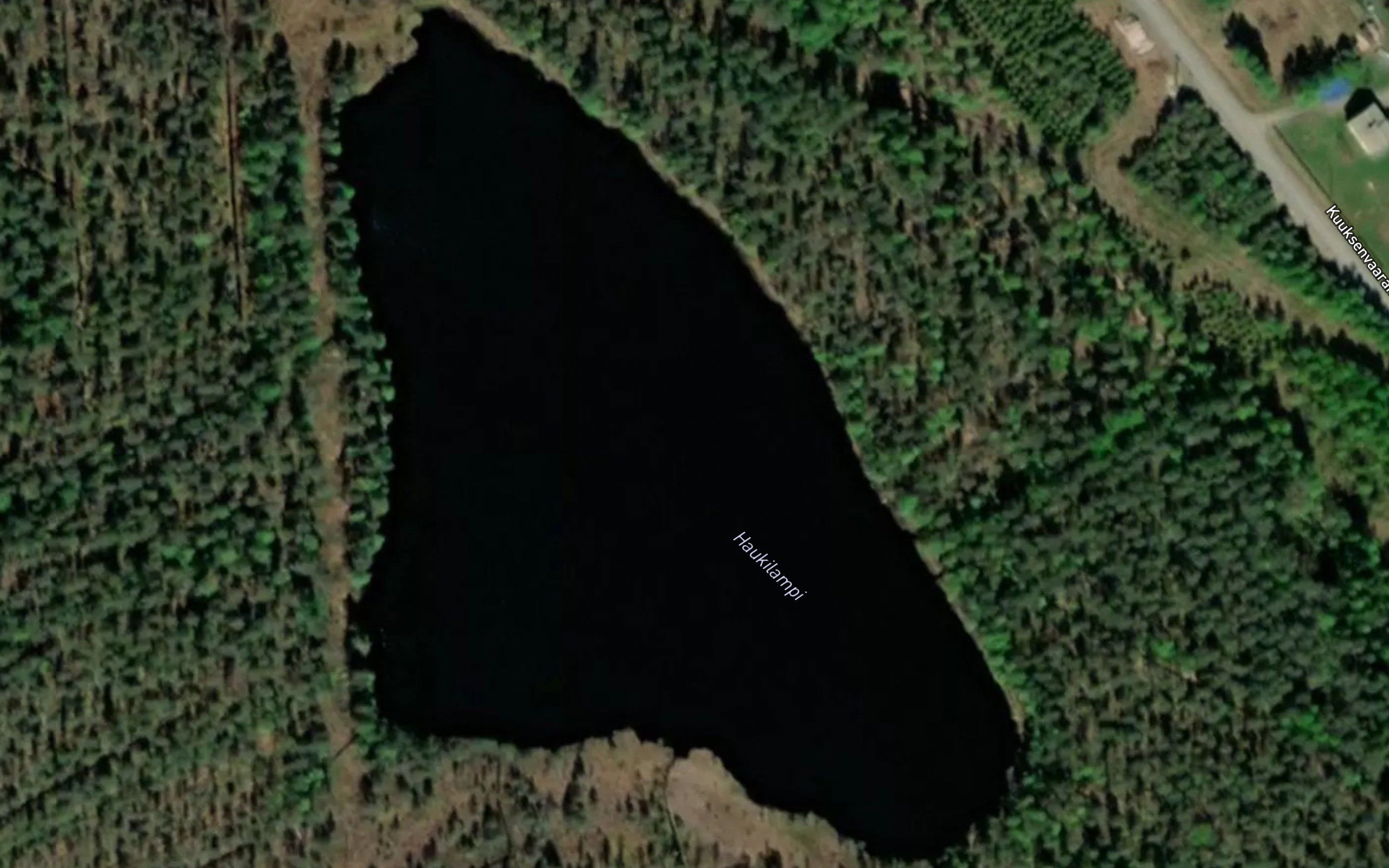 Haukilampi