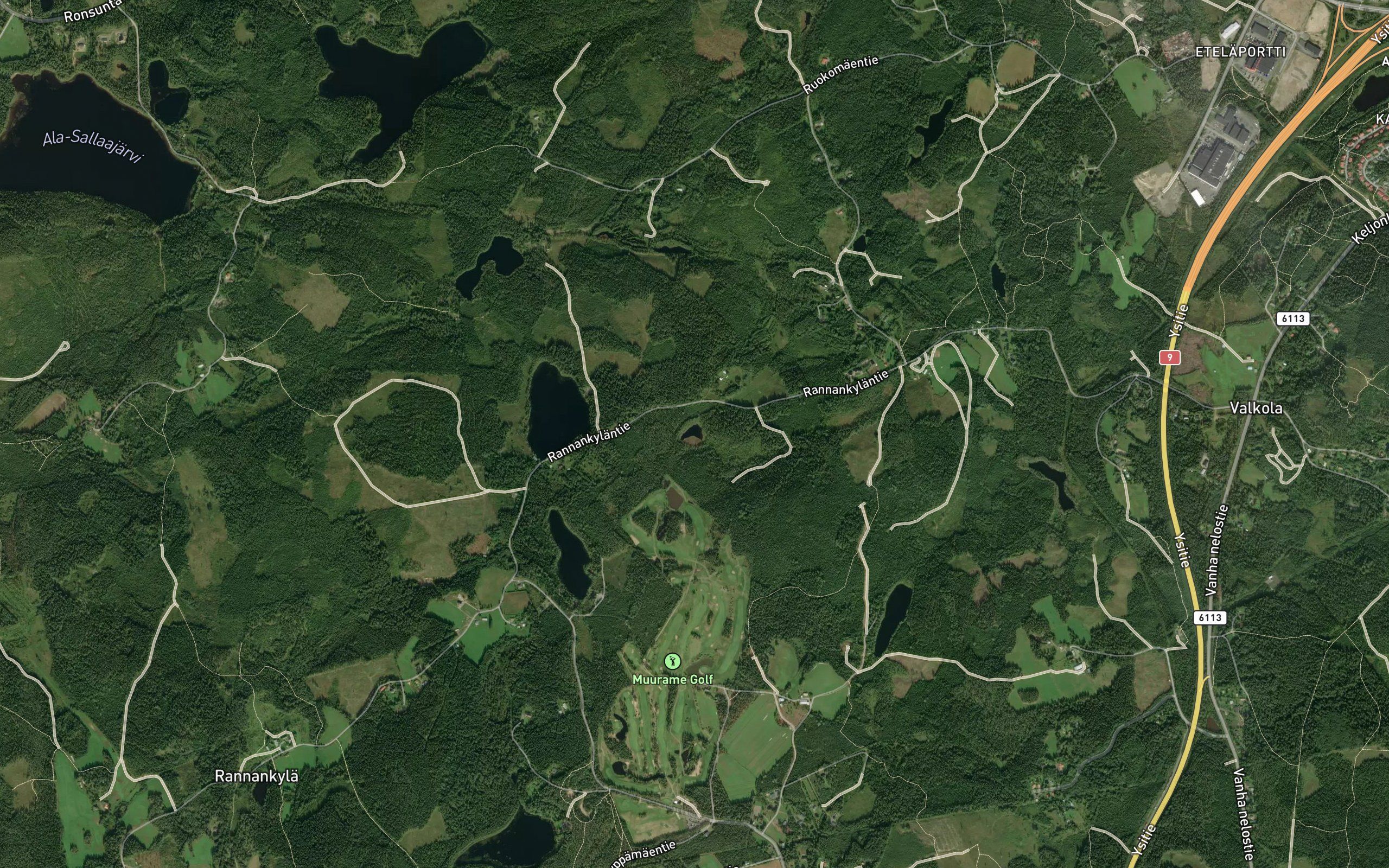 Haukilampi