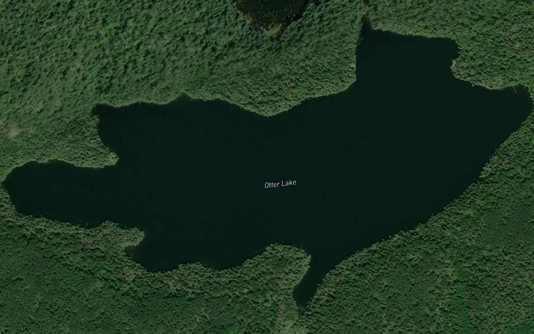Satellite map of the Otter Lake