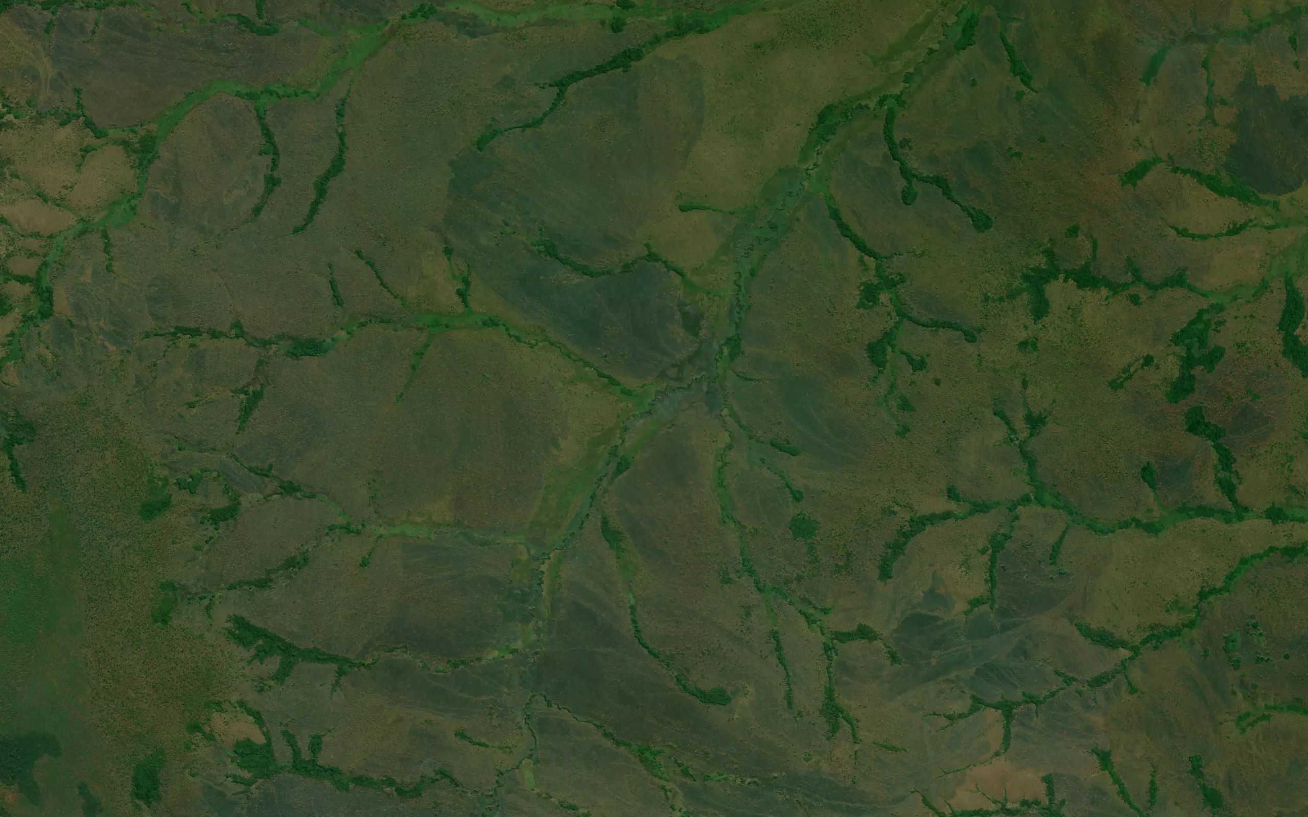 Manaongo