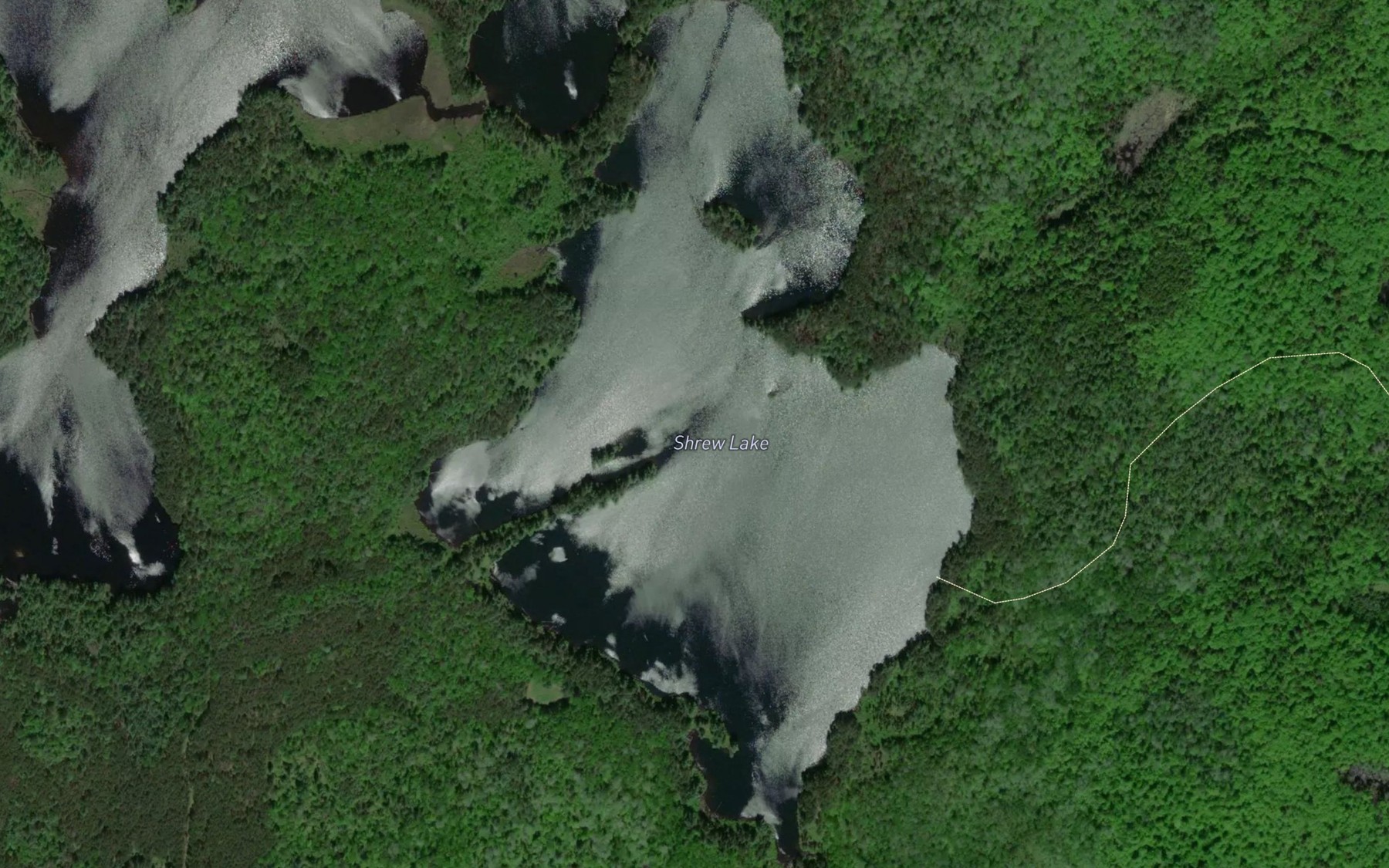 Satellite map of the Shrew Lake