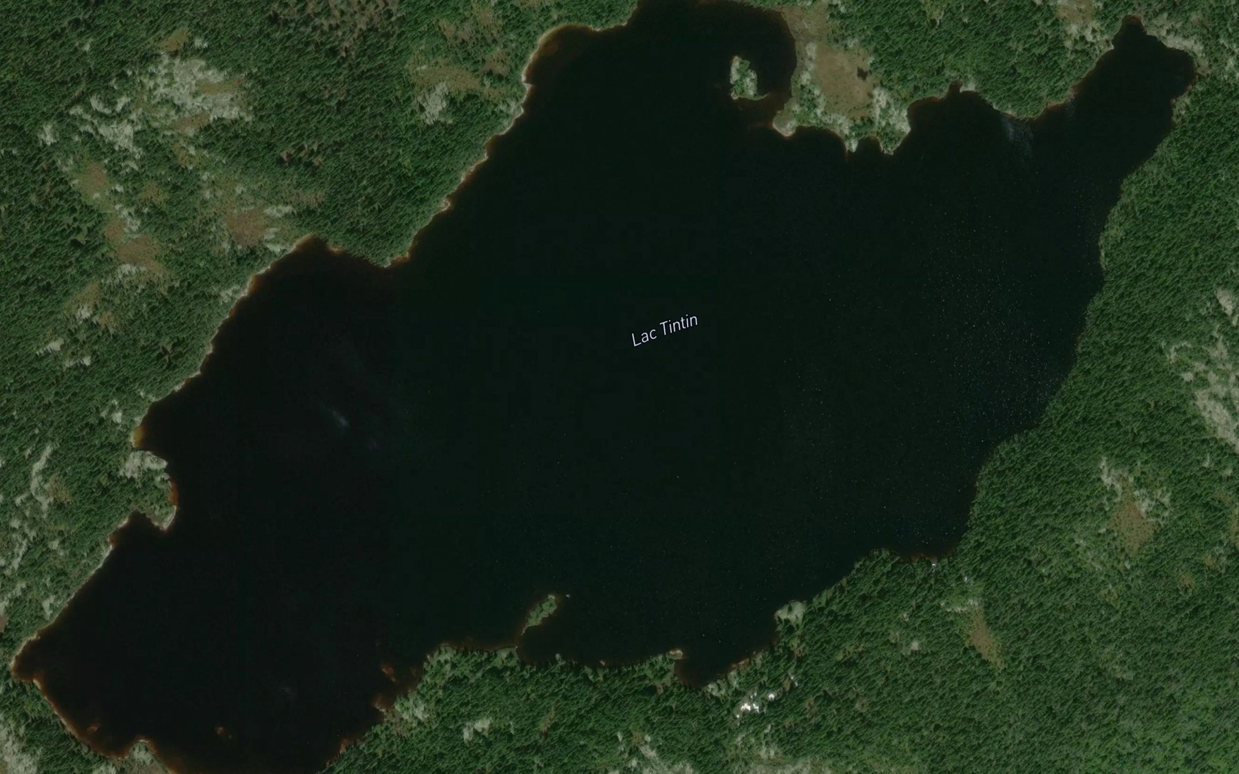 Satellite map of the Lac Tintin