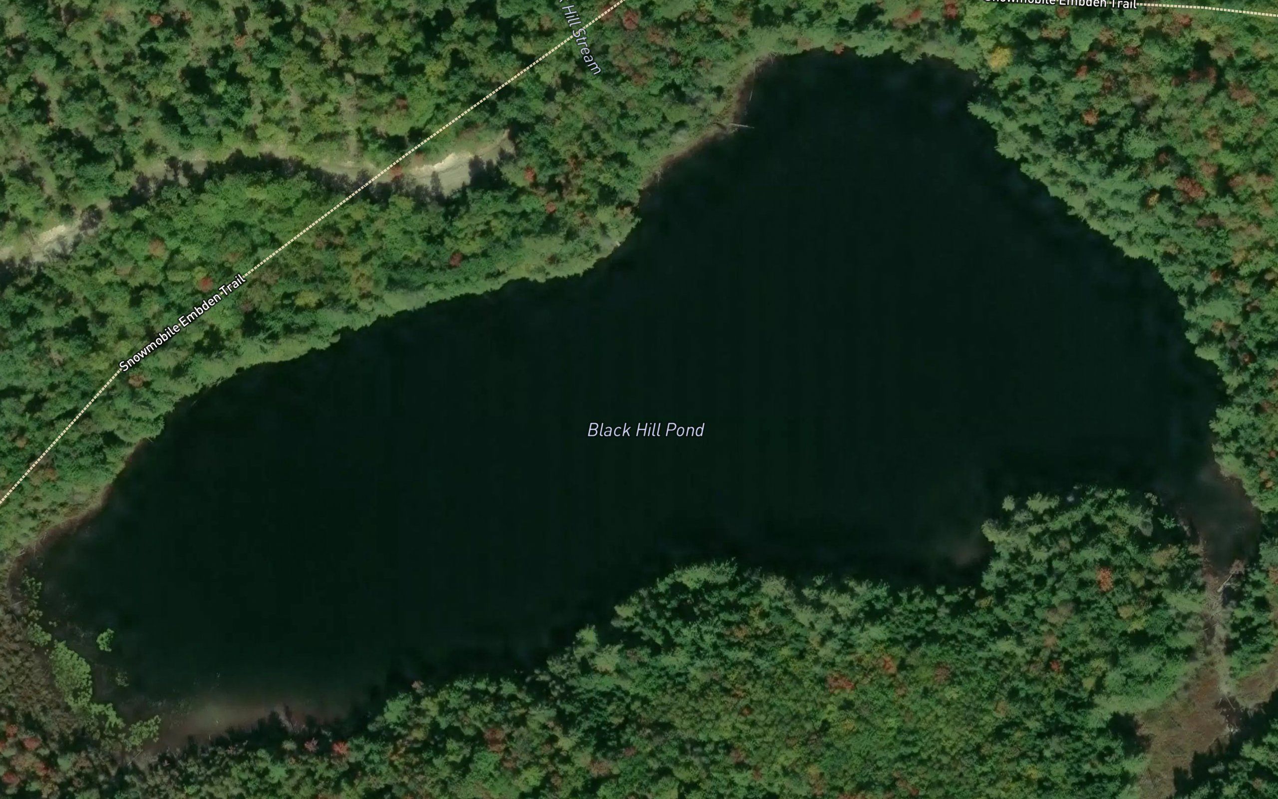 Black Hill Pond