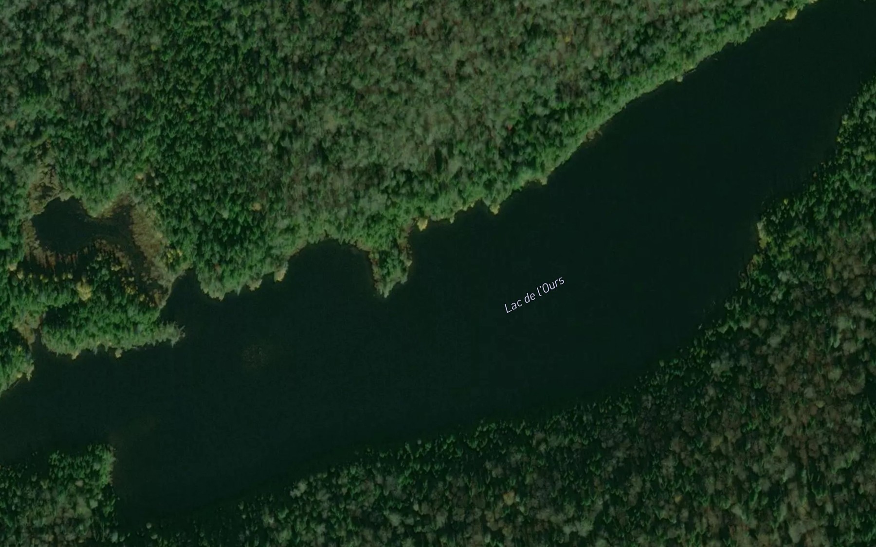 Satellite map of the Lac de l'Ours