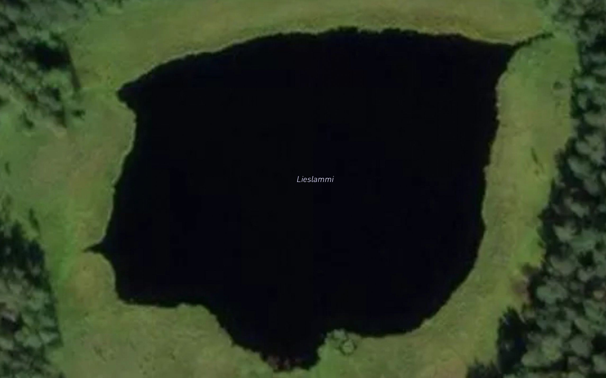 Lieslammi