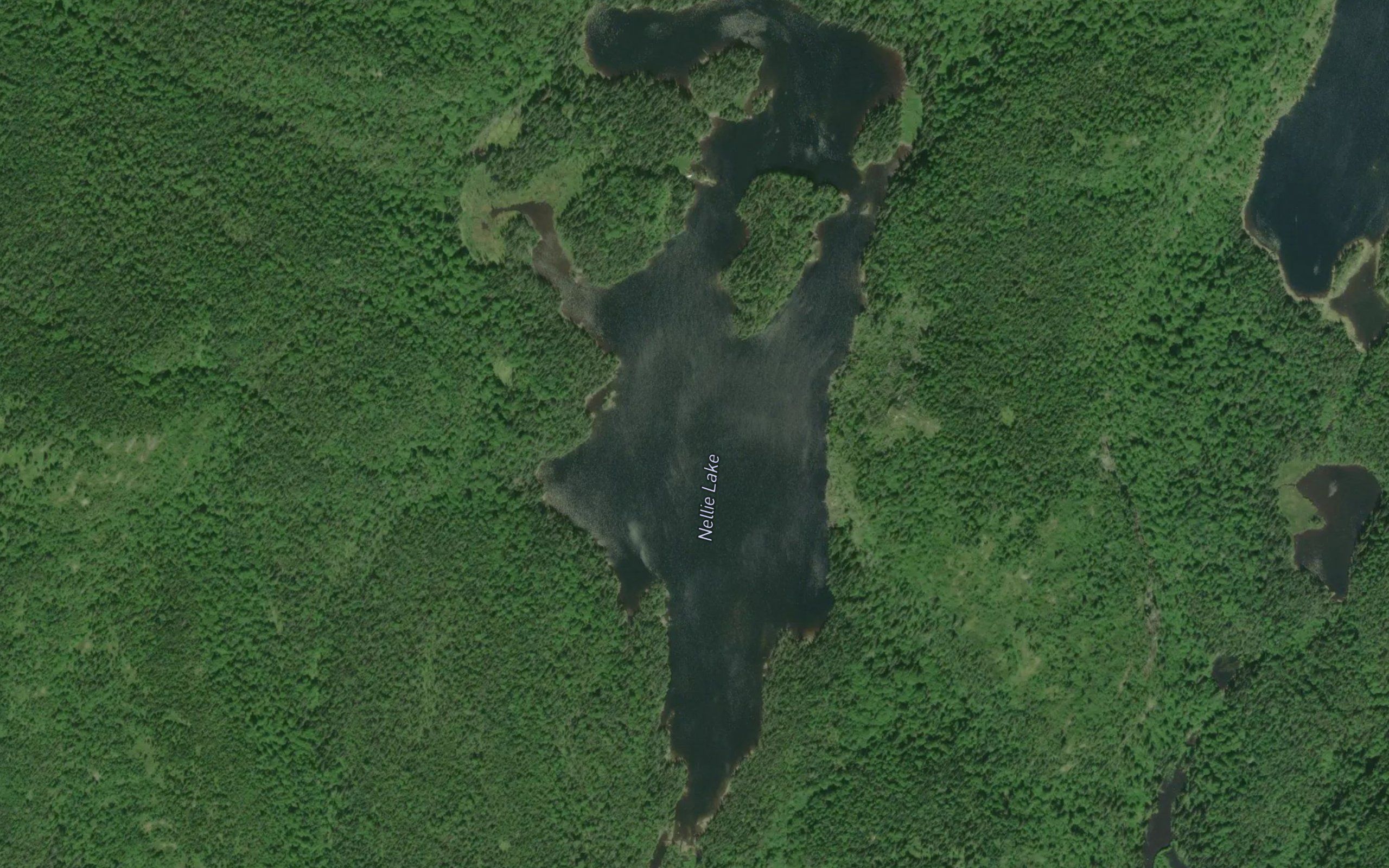 Nellie Lake