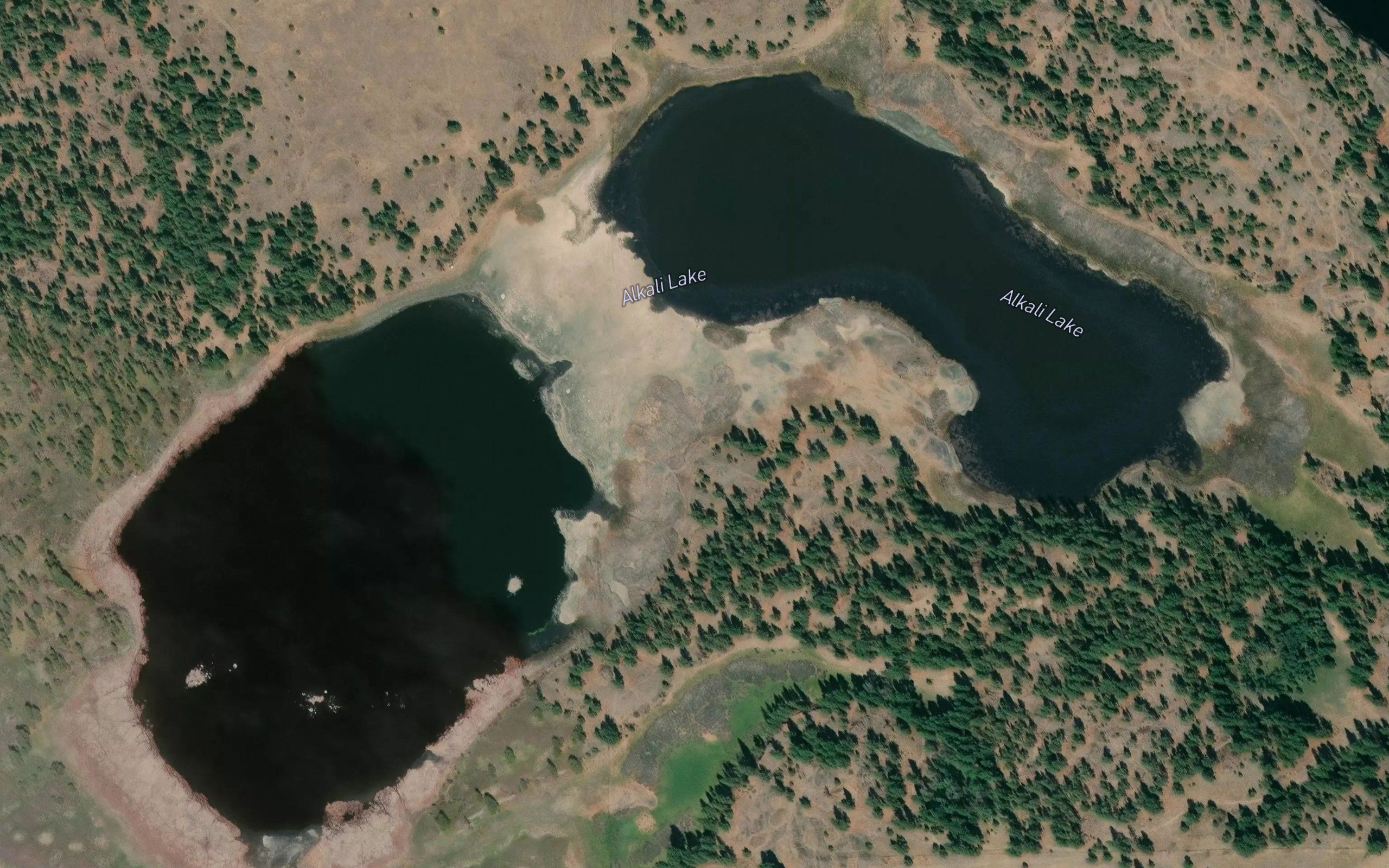 Alkali Lake