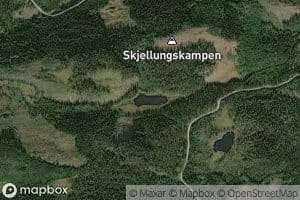 Haugtjernet
