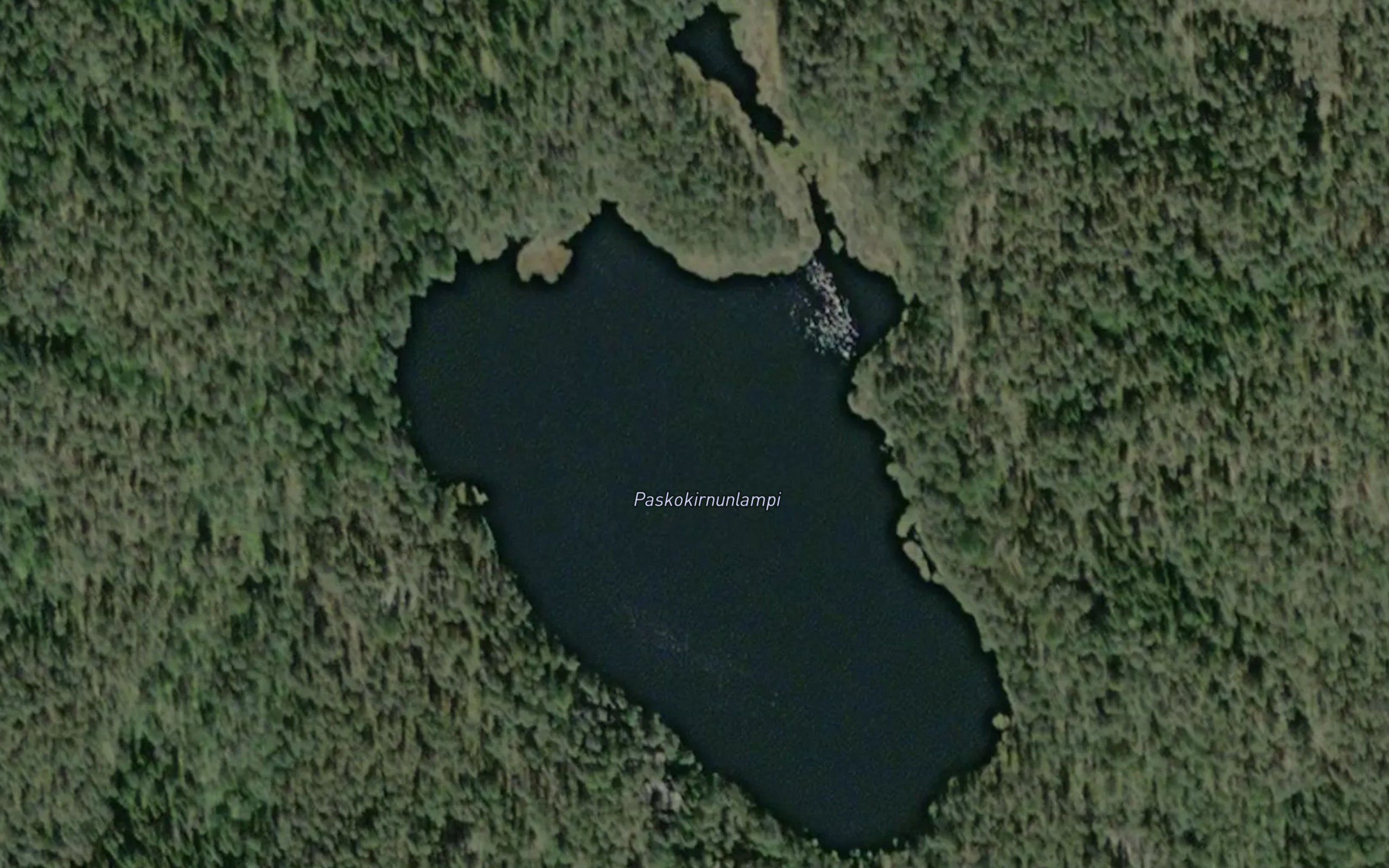 Paskokirnunlampi