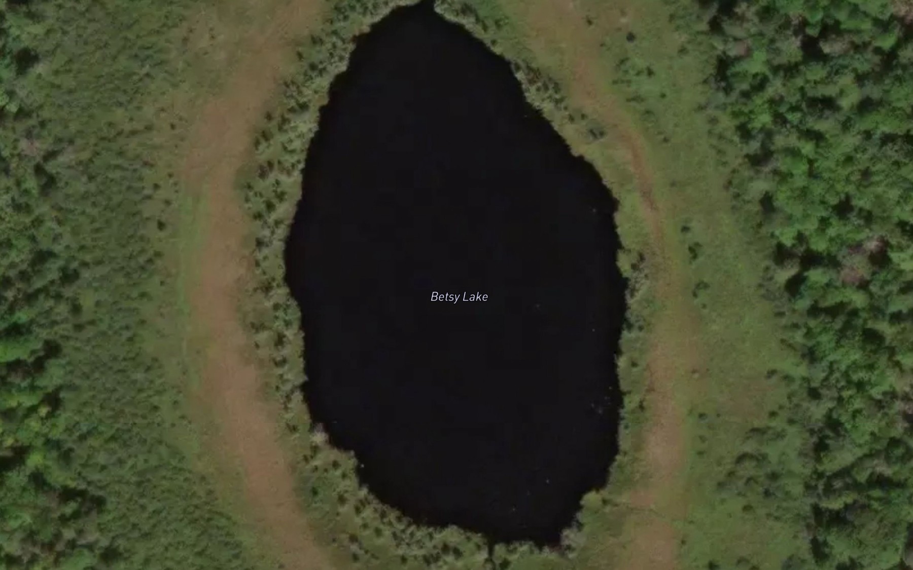 Satellite map of the Betsy Lake