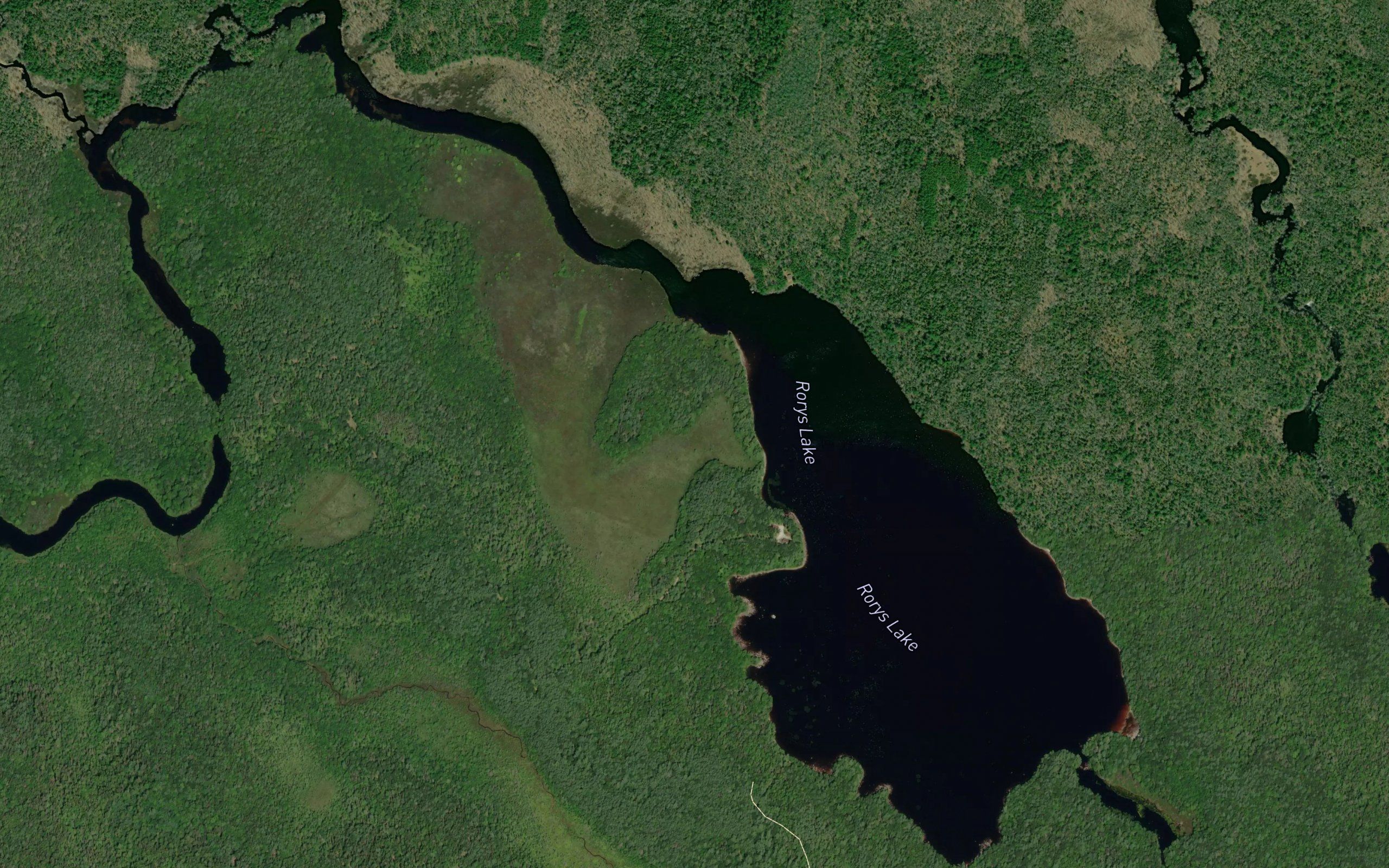Rorys Lake