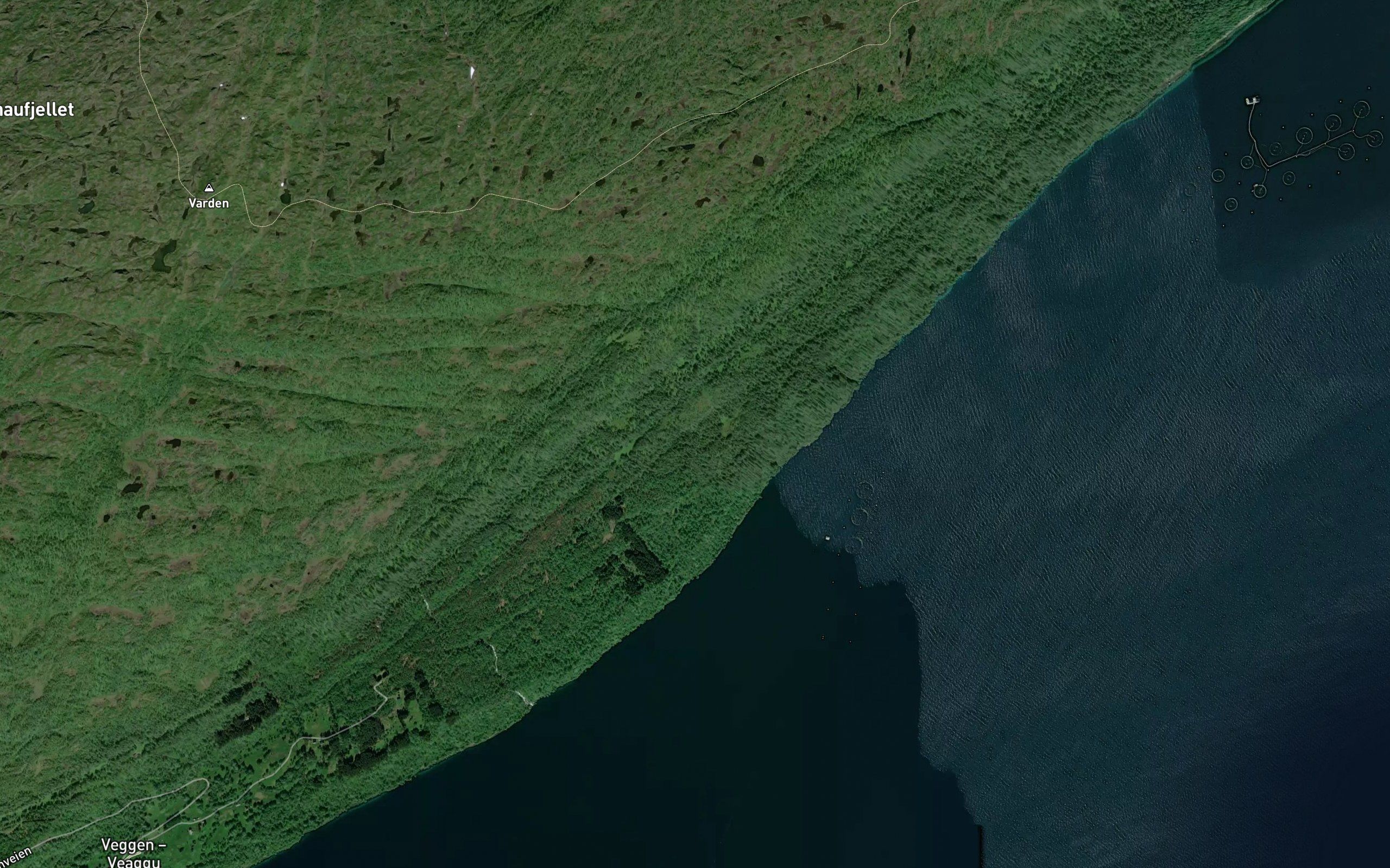 Kvannelva