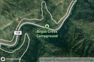 Bogus Creek