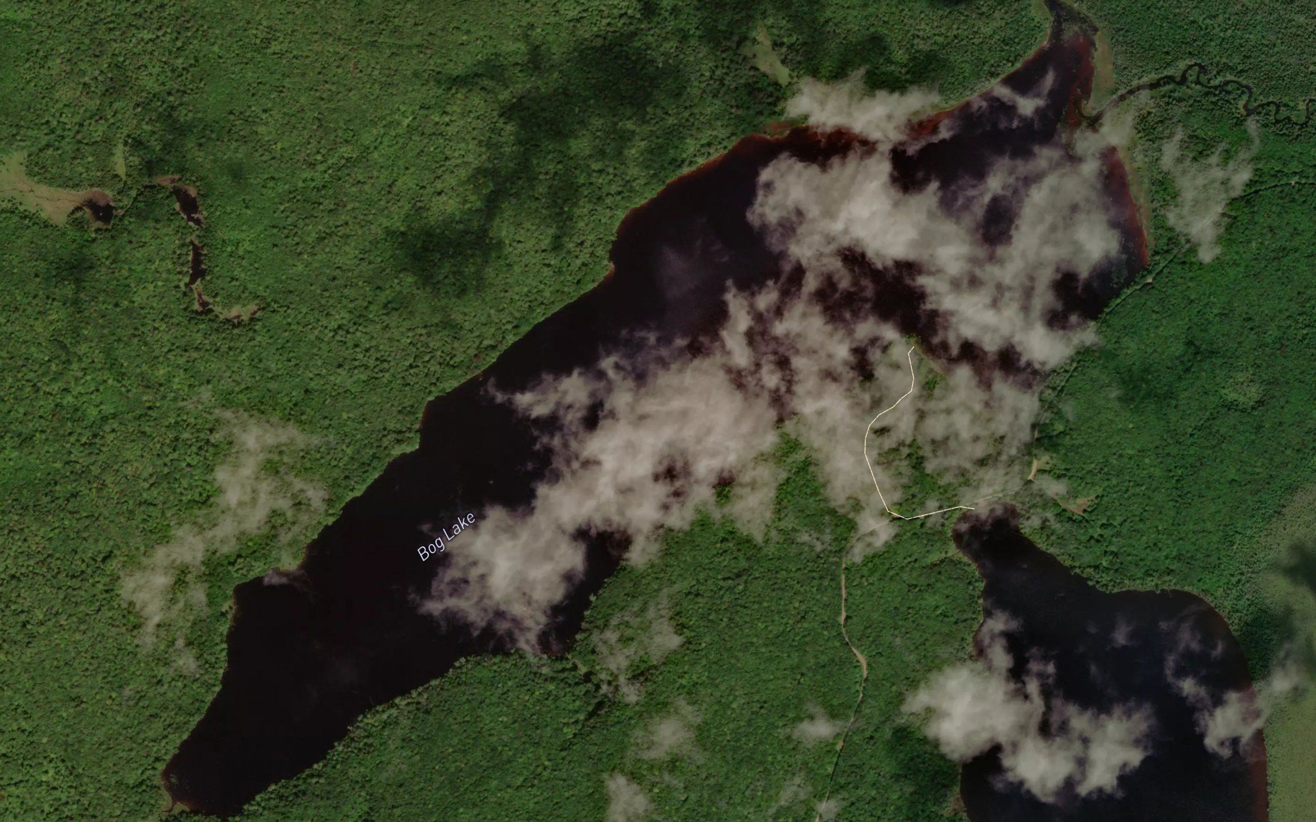 Bog Lake
