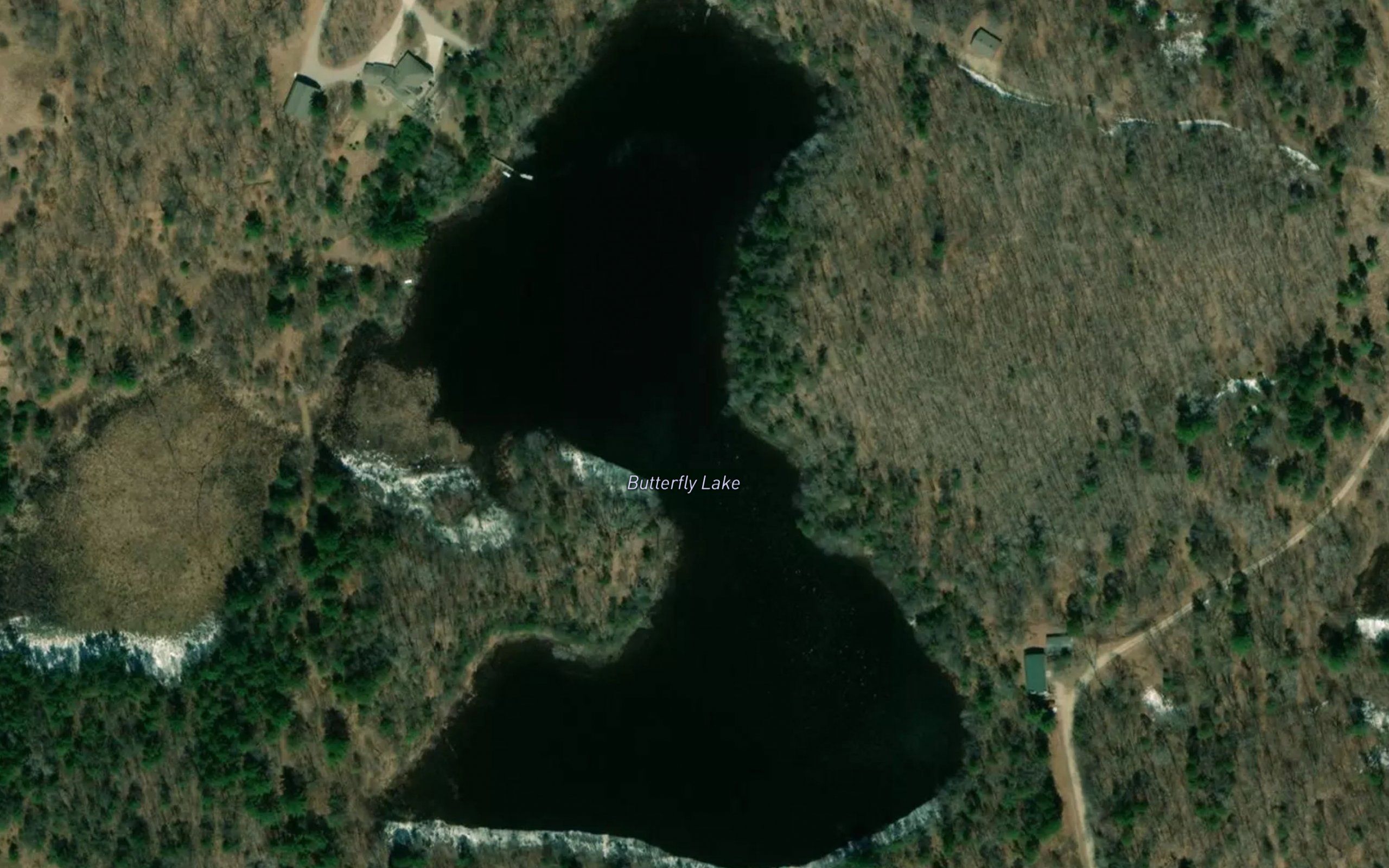 Butterfly Lake