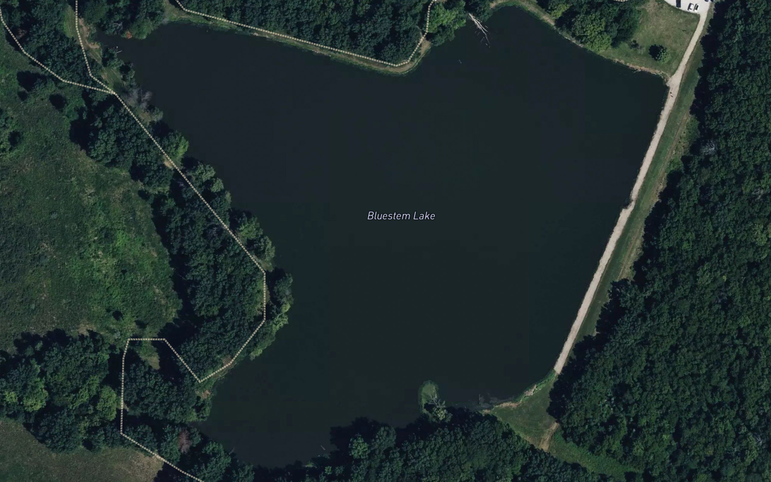 Reed Area Number 10 Lake