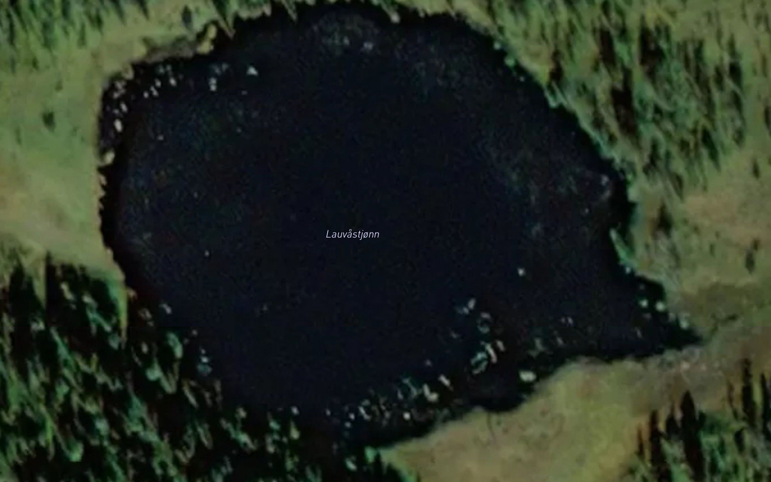 Lauvastjonn