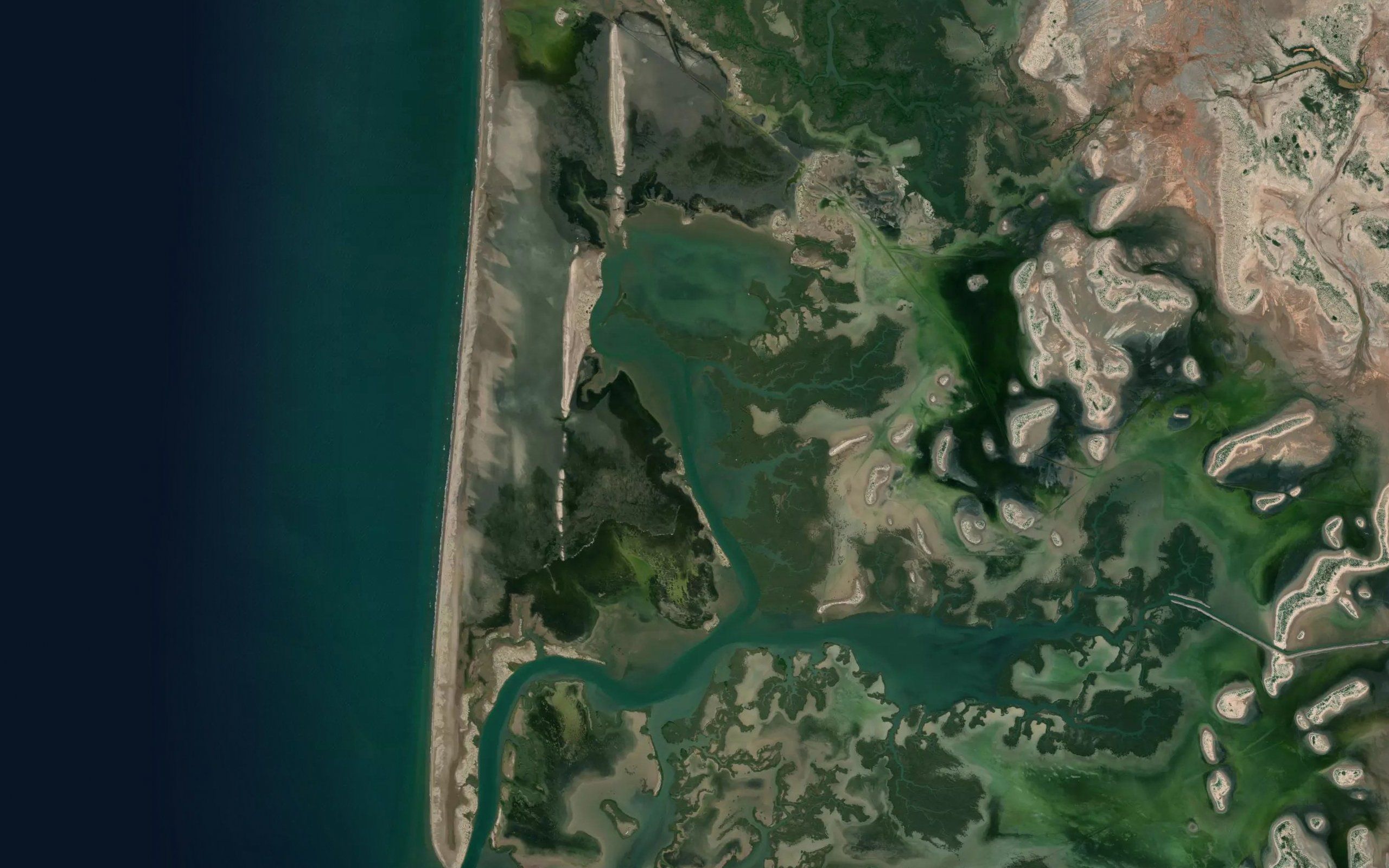 Estero San Francisquito