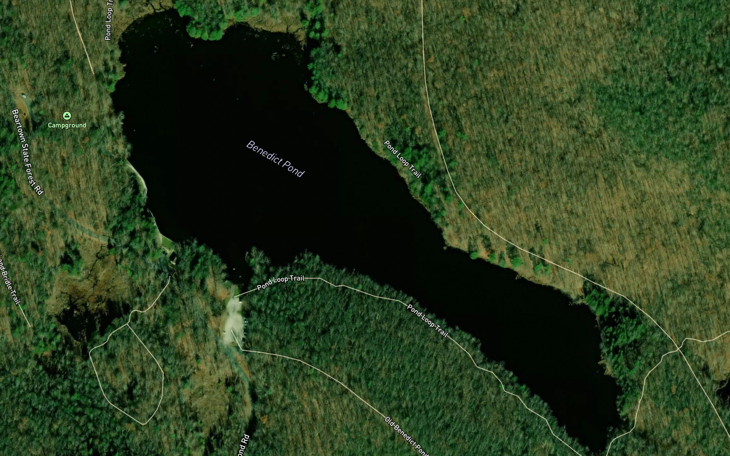 Benedict Pond