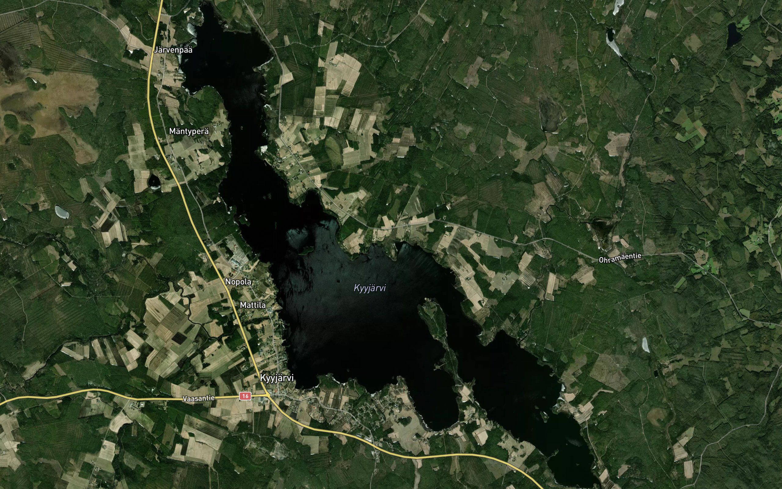 Lintuselka