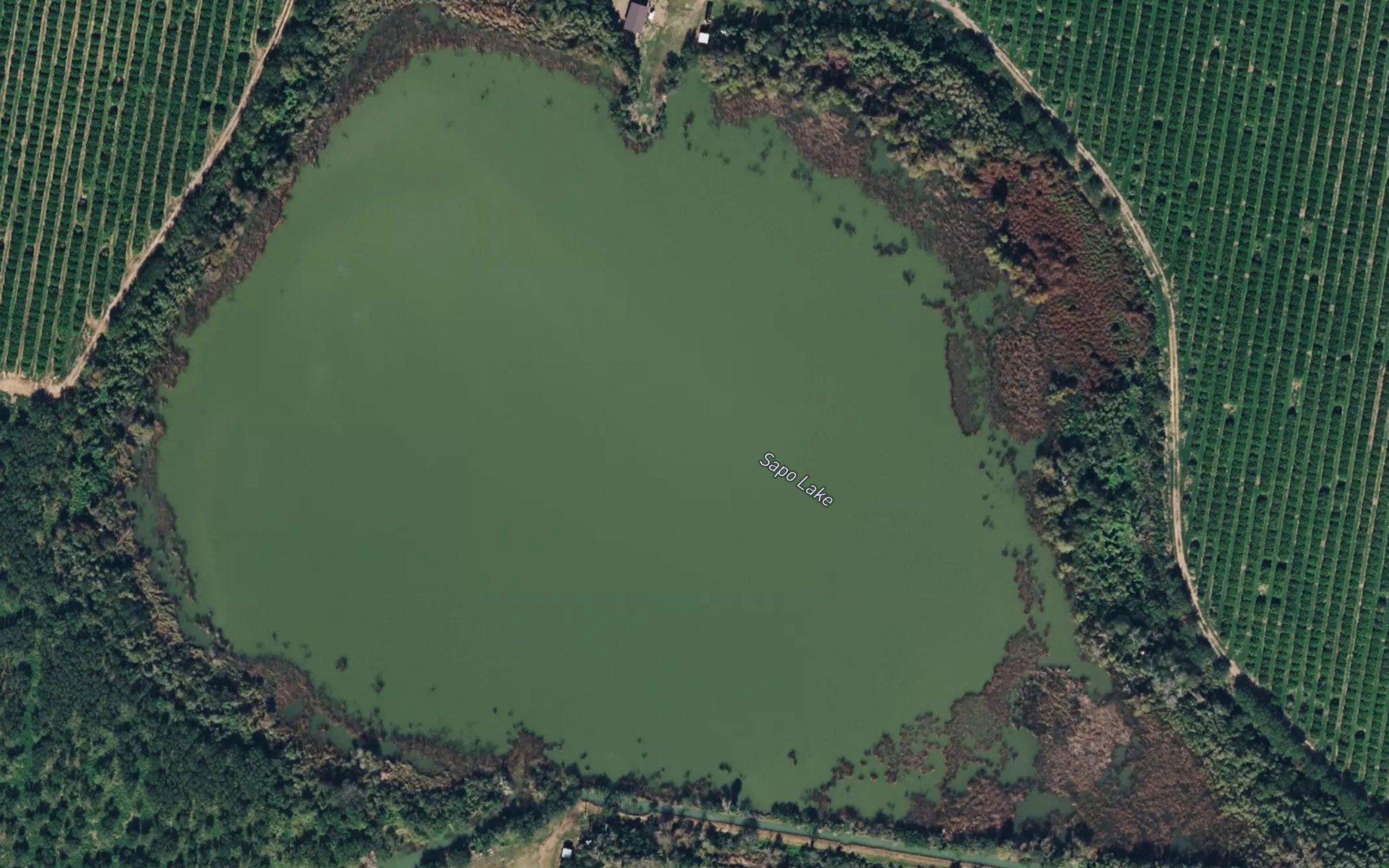 Sapo Lake
