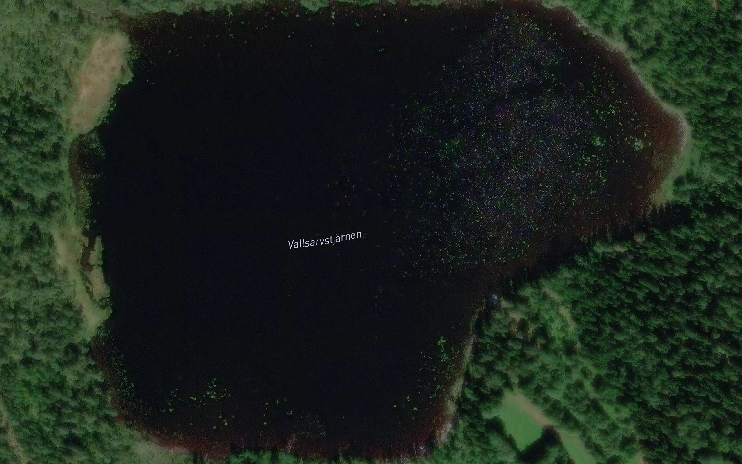 Vallsarvstjaernen