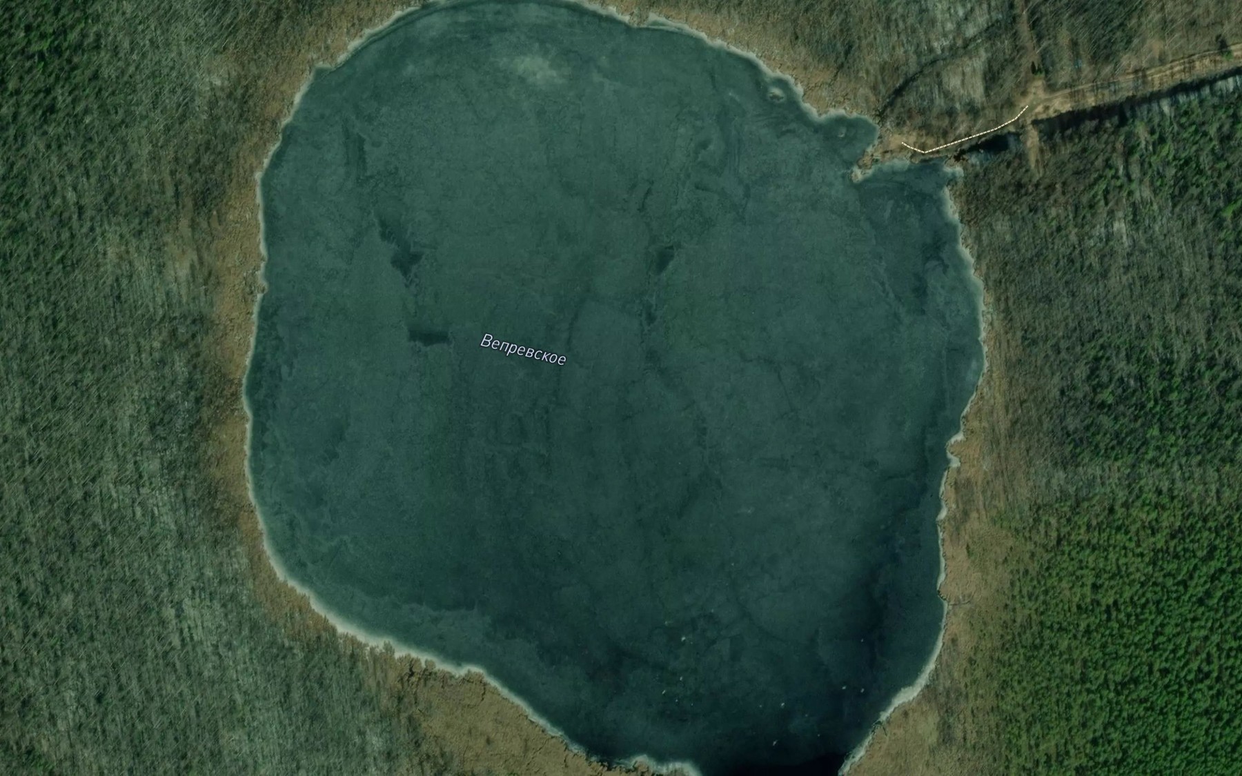 Satellite map of the Ozero Veprevskoye