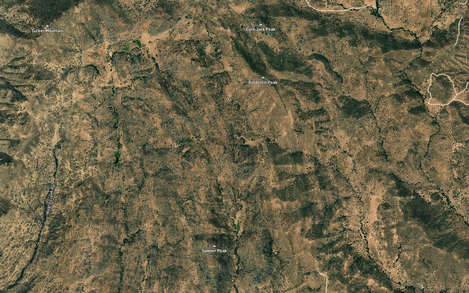 Satellite map of the Rattlesnake Spring